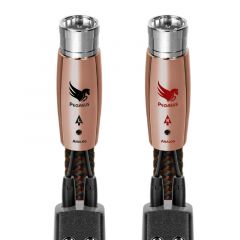 Pegasus XLR 2M